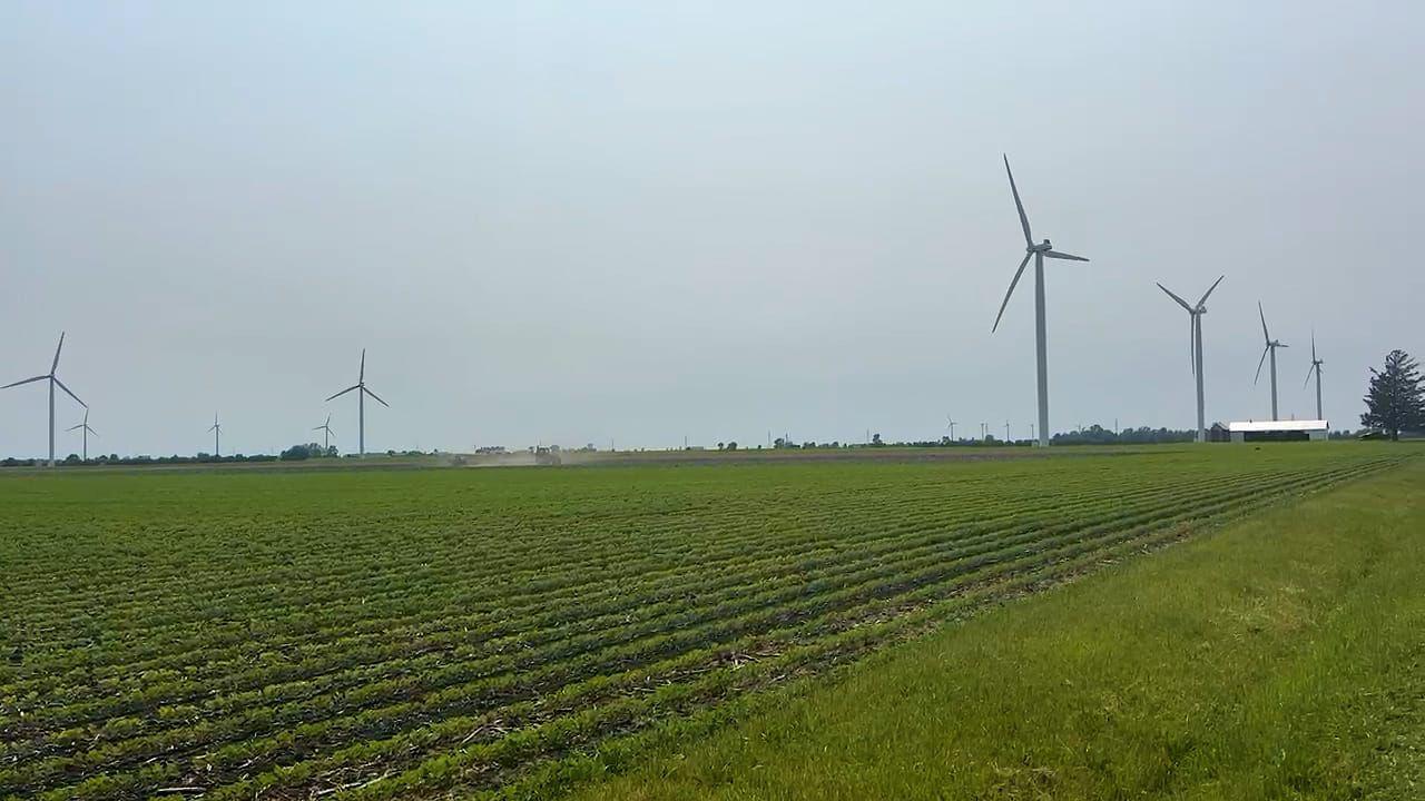 Dos firmas locales validan desarrollos en maíz y semillas en EE.UU. como parte de Misión AgTech 2025 - imagen 2